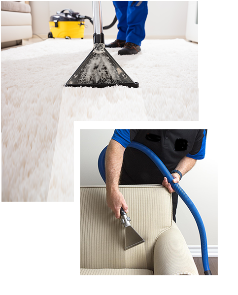 lookout carpet cleaning and restoration